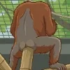 🐒